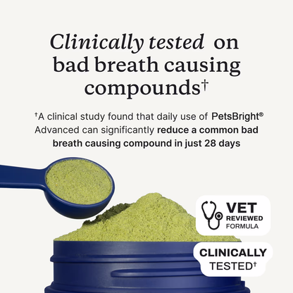 Jhati® PetsBright Advanced Dental Powder for Clean Teeth & Fresh Breath