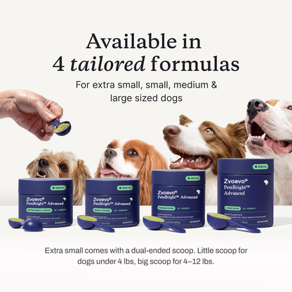 Jhati® PetsBright Advanced Dental Powder for Clean Teeth & Fresh Breath