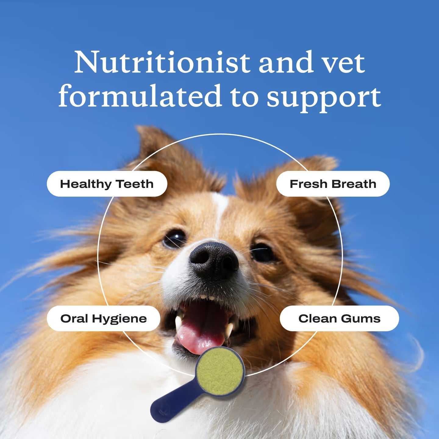 Jhati® PetsBright Advanced Dental Powder for Clean Teeth & Fresh Breath