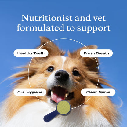 Jhati® PetsBright Advanced Dental Powder for Clean Teeth & Fresh Breath