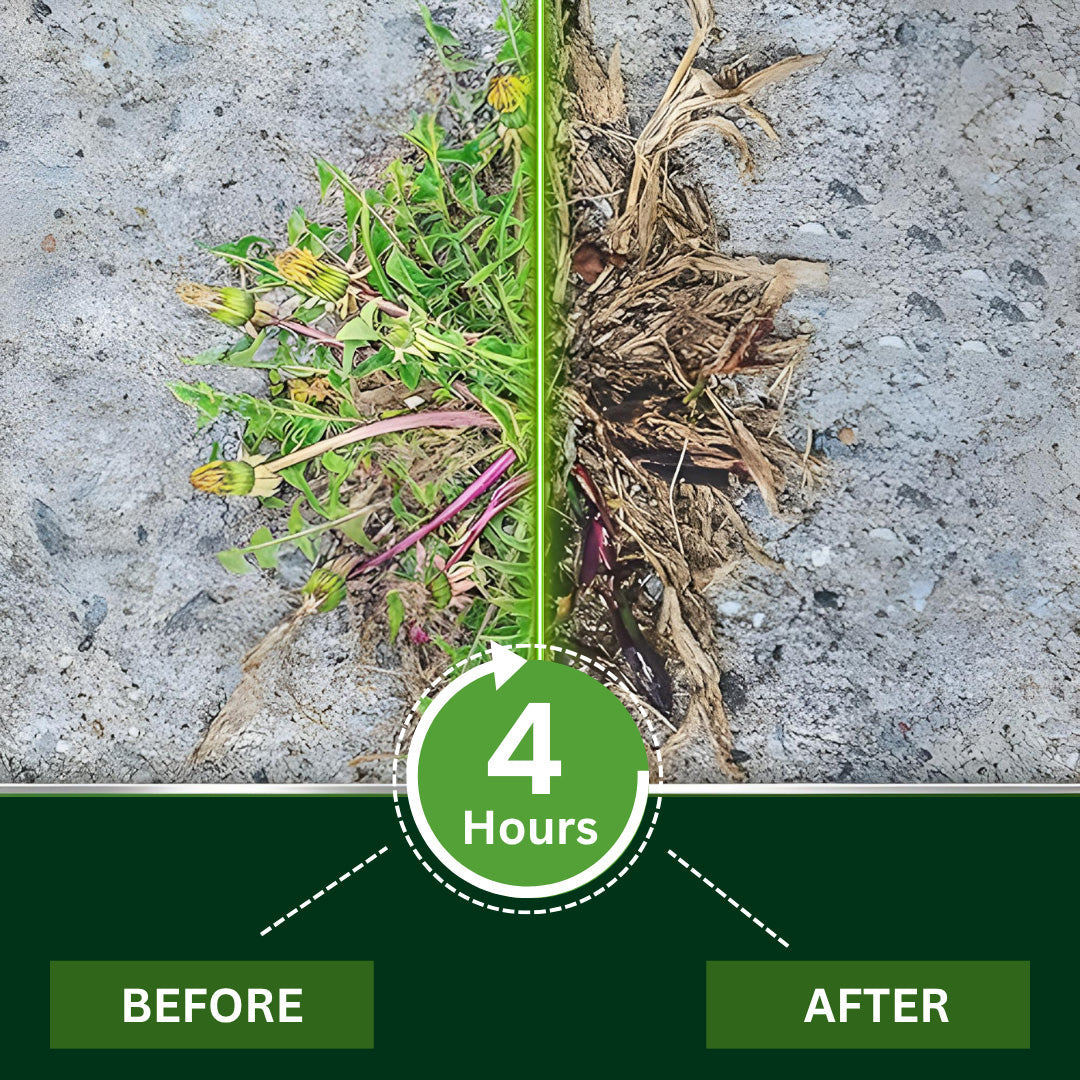 🌿Jhati® 2-in-1 Weed Killer | Same-Day Results & Kills Roundup-Resistant Weeds