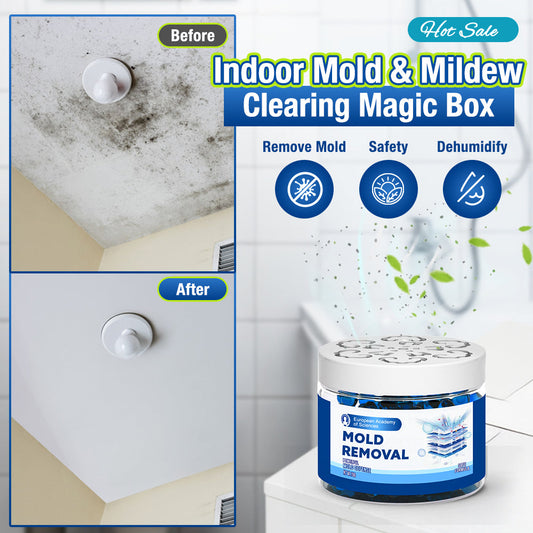 Jhati® Indoor Moisture & Mold Guard Box