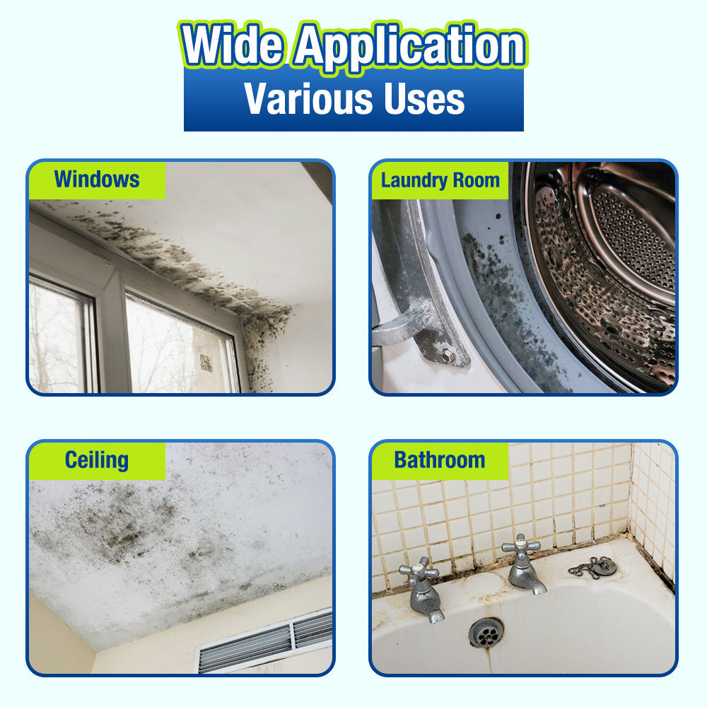 Jhati® Indoor Moisture & Mold Guard Box