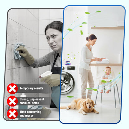 Jhati® Indoor Moisture & Mold Guard Box
