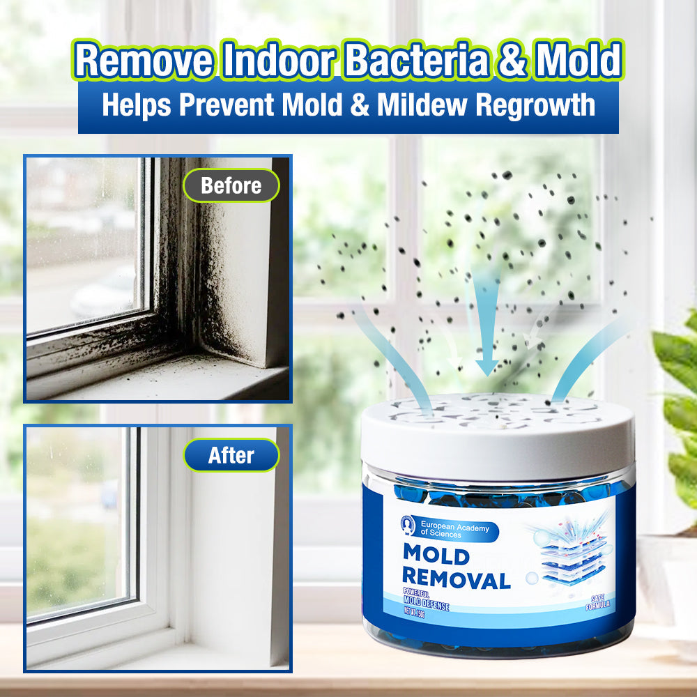 Jhati® Indoor Moisture & Mold Guard Box