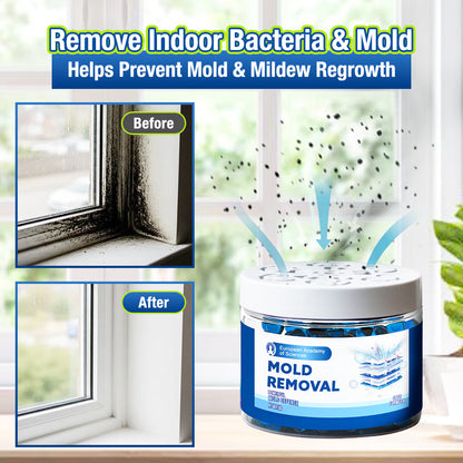 Jhati® Indoor Moisture & Mold Guard Box