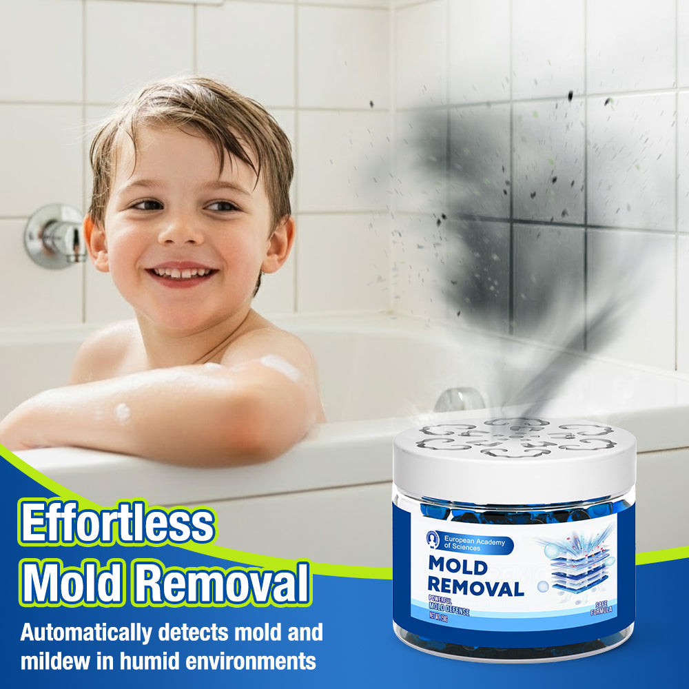 Jhati® Indoor Moisture & Mold Guard Box