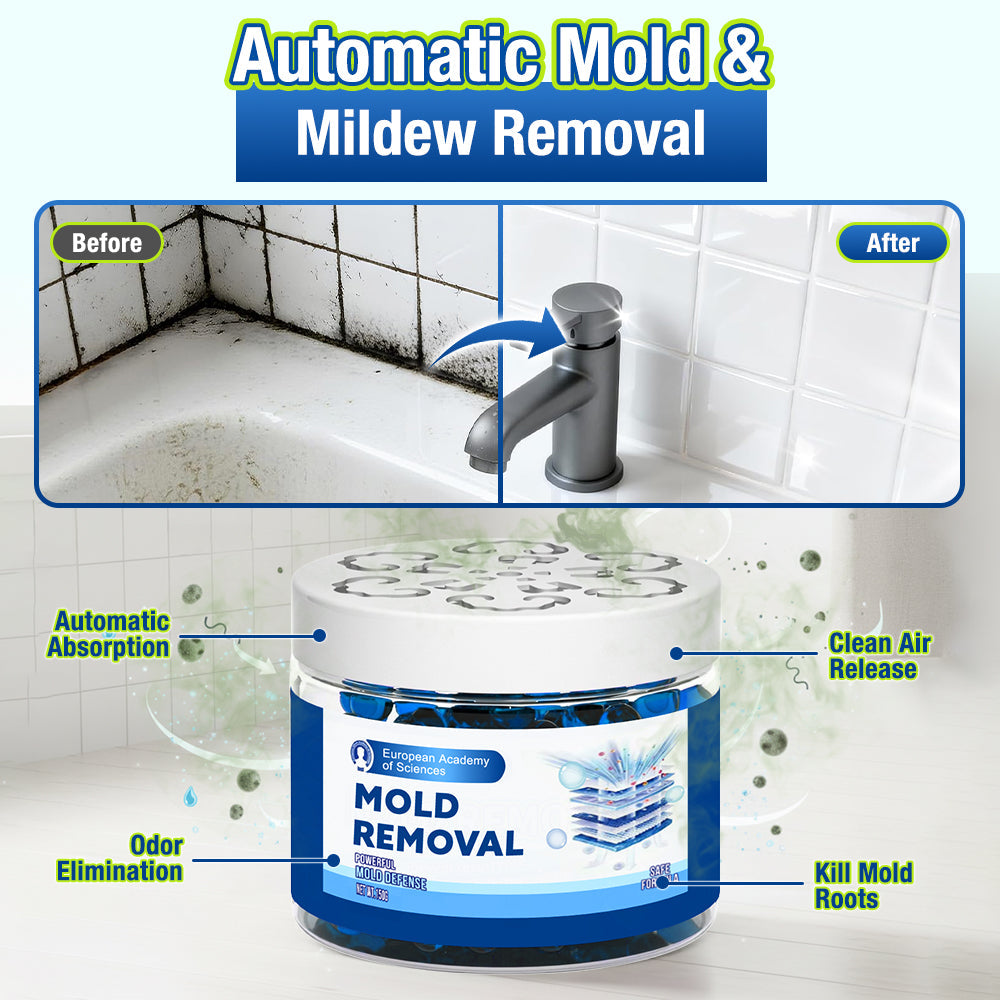 Jhati® Indoor Moisture & Mold Guard Box