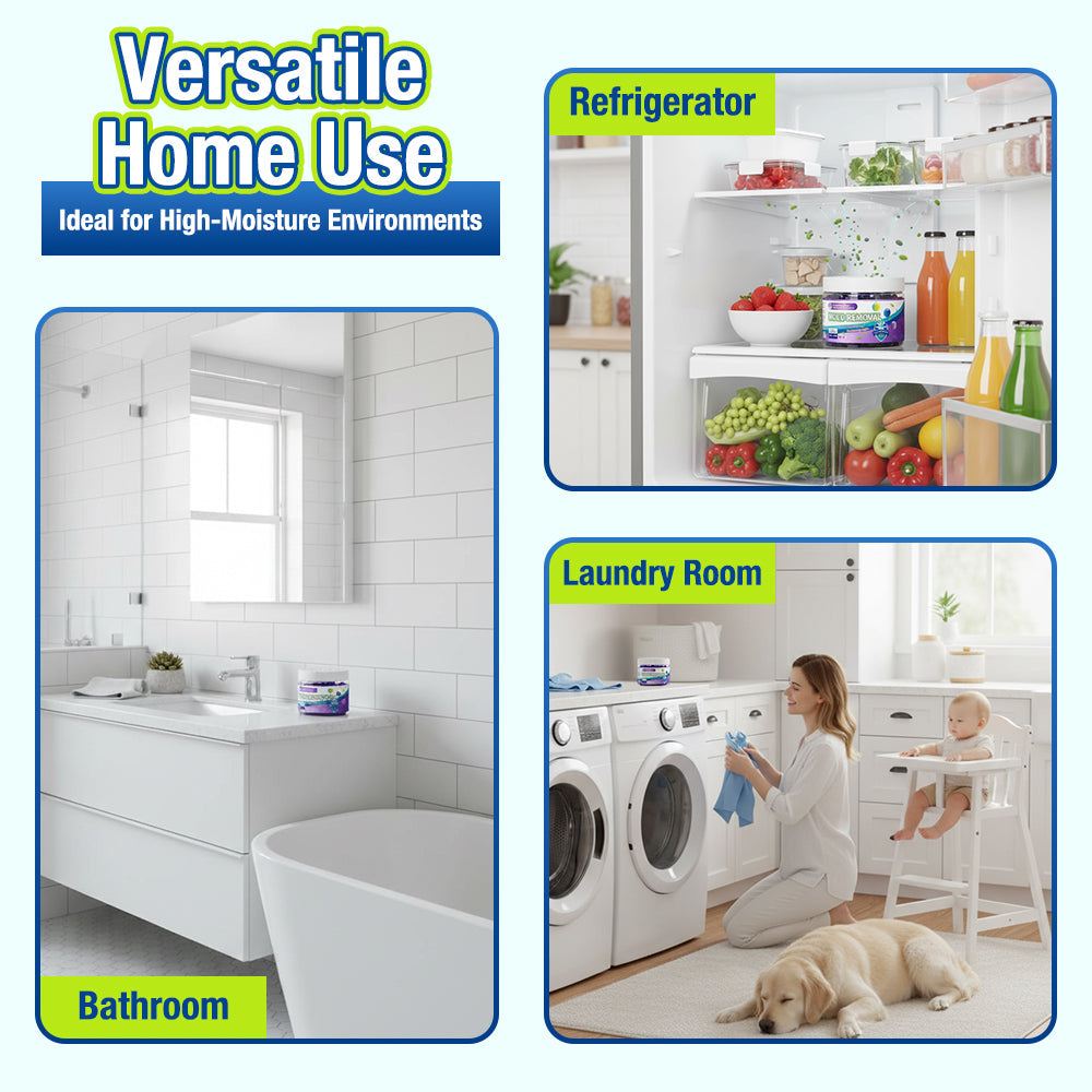 Jhati® Indoor Moisture & Mold Guard Box