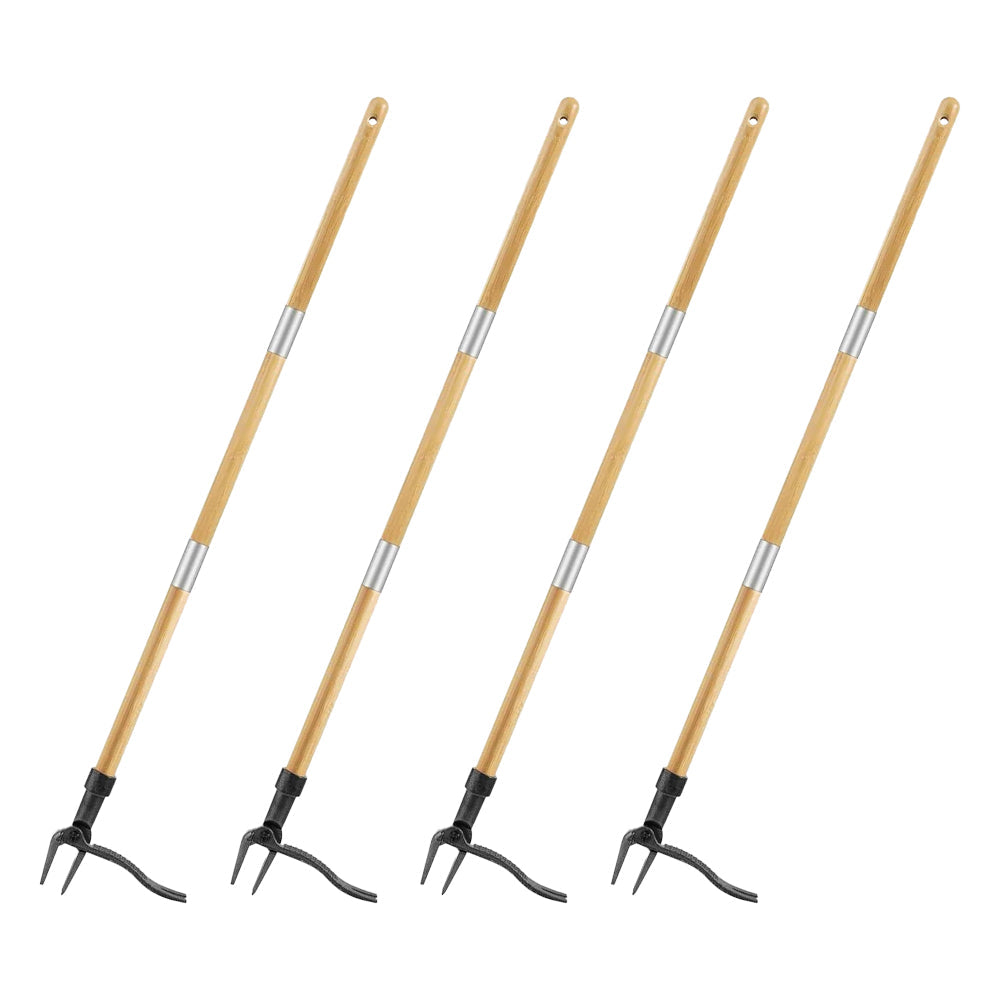 4PCS